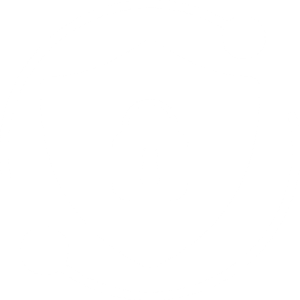 Cybersecurity as a Service 33 Cybersec white 300x300 1 - Cybersecurity as a Service